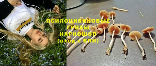 ECSTASY Балахна