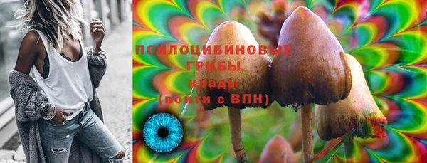 ГАЛЛЮЦИНОГЕННЫЕ ГРИБЫ Армянск