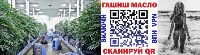 Купить Нефтекамск ТГК гашишное масло